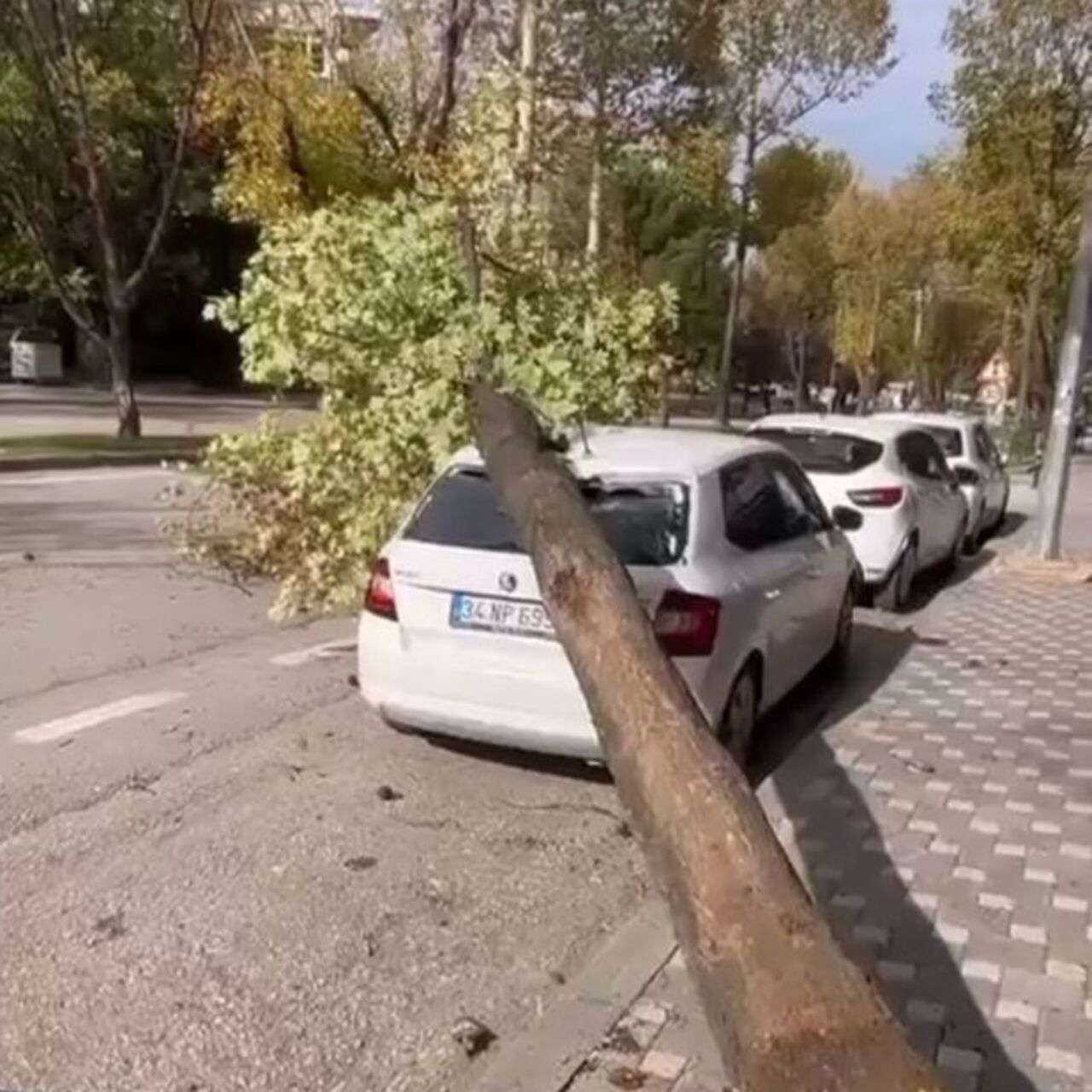 Bursa’da ağaçlar devrildi, çatılar uçtu!