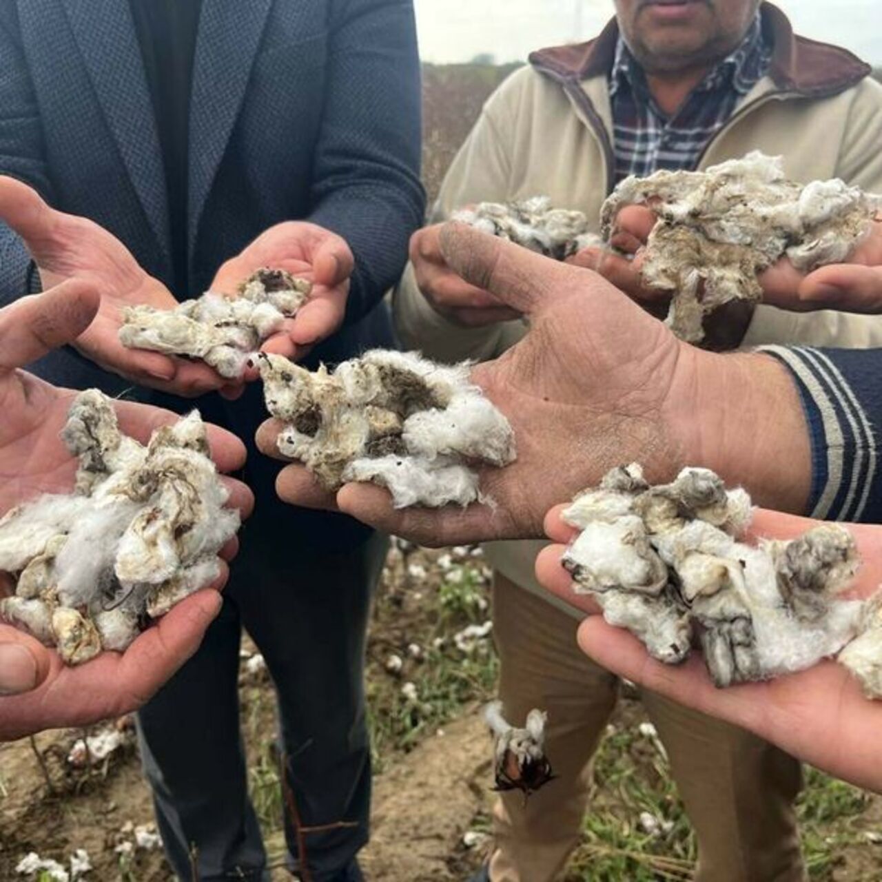 Ceviz büyüklüğünde dolu