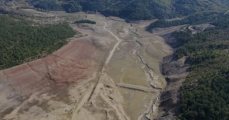 DSİ uyardı, belediye dinlemedi! Bursa barajlarında su kalmadı