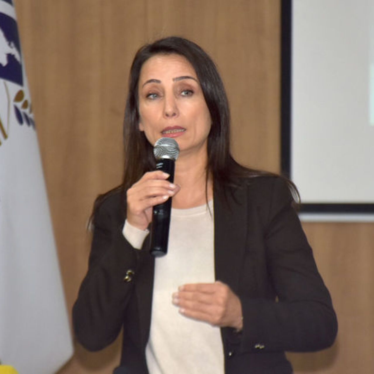 Hatimoğulları: Kürt sorununu Türkiye çözerse bölgeye barışı taşır