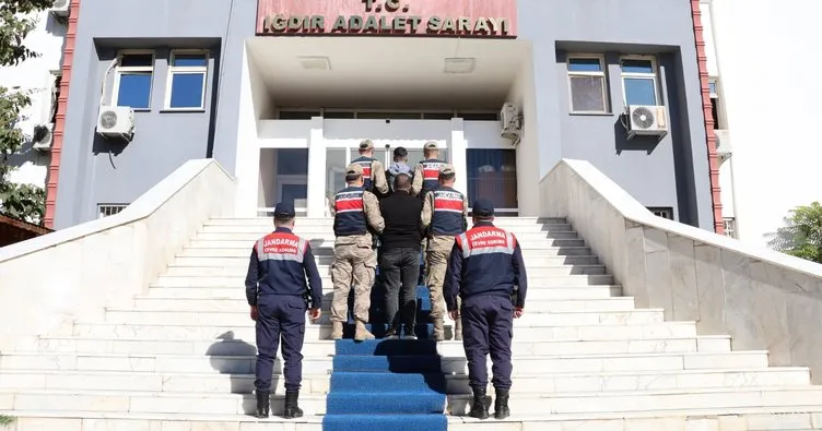 Iğdır’da köpek dövüşüne jandarma baskını: 14 gözaltı