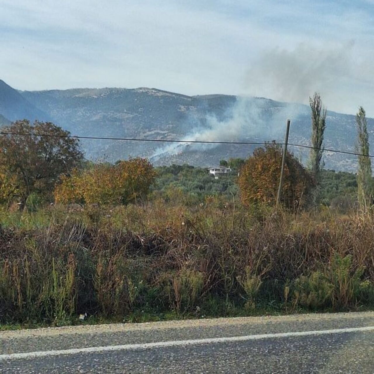 Aydın’da yangına müdahale