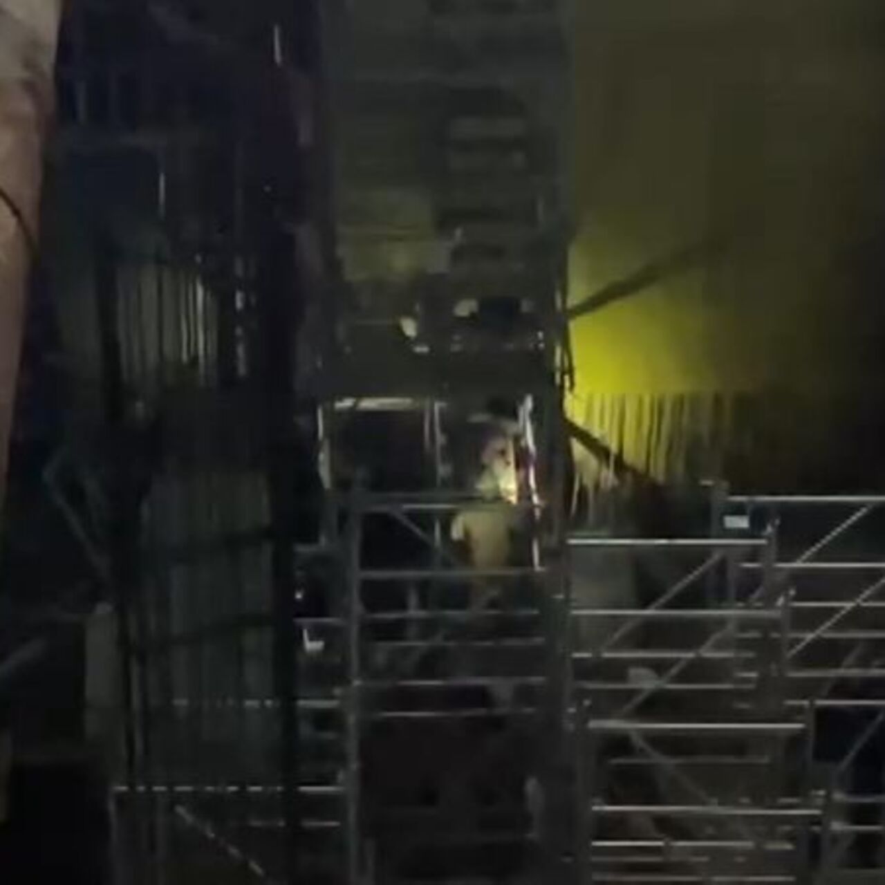 Beyoğlu metro inşaatında iskele çöktü