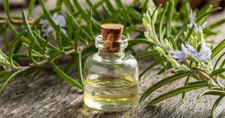 Biberiye Alzheimer’a karşı koruyor