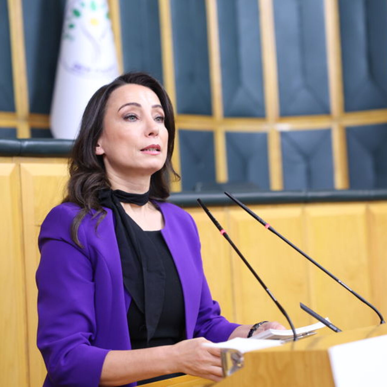 DEM Parti’den İmralı açıklaması