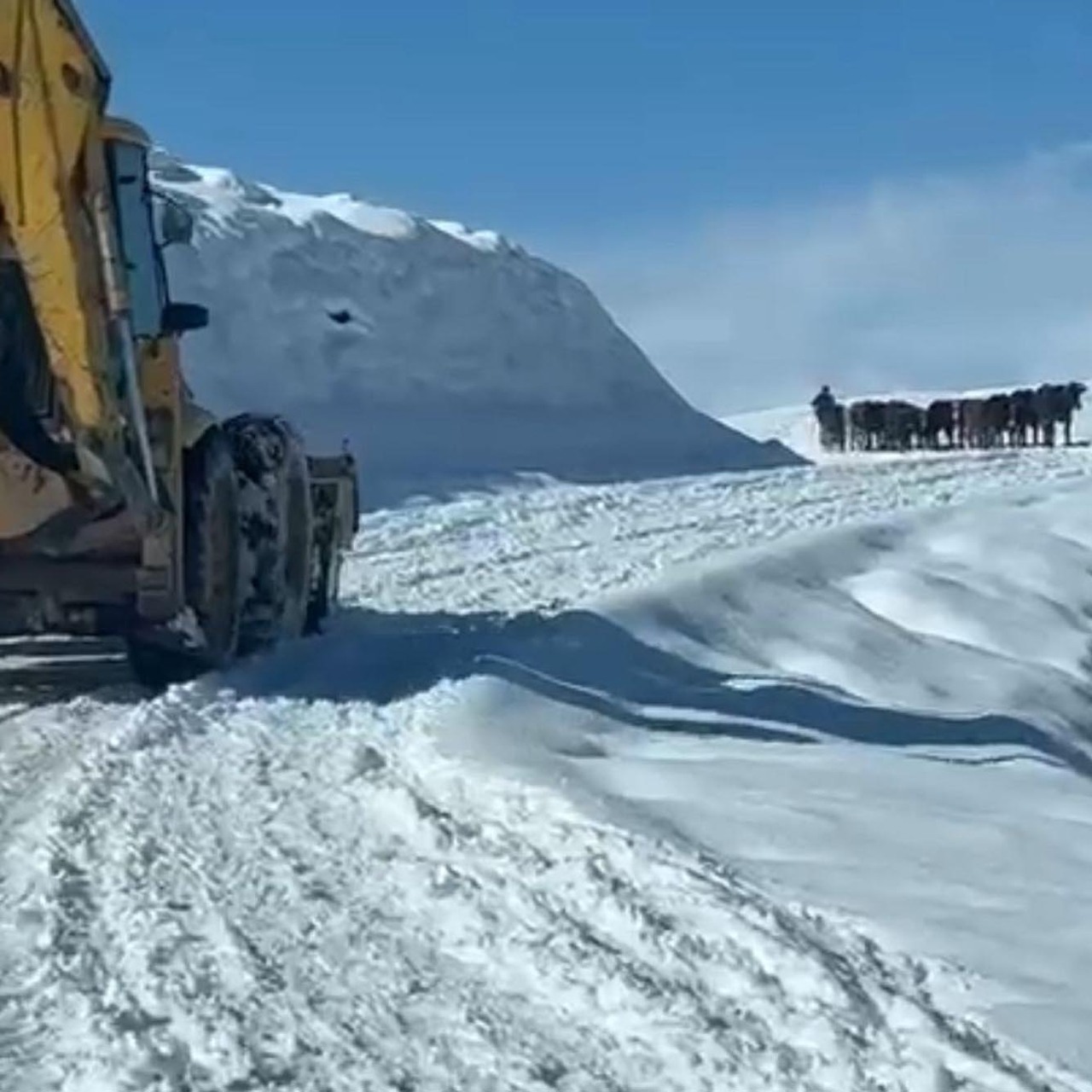 Kar yağışları ulaşımı kapadı