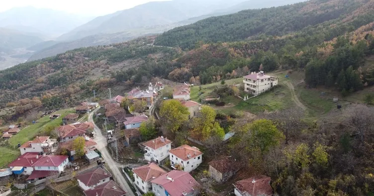 Mantar toplarken ölen 82 yaşındaki kadının oğlu SABAH’a konuştu