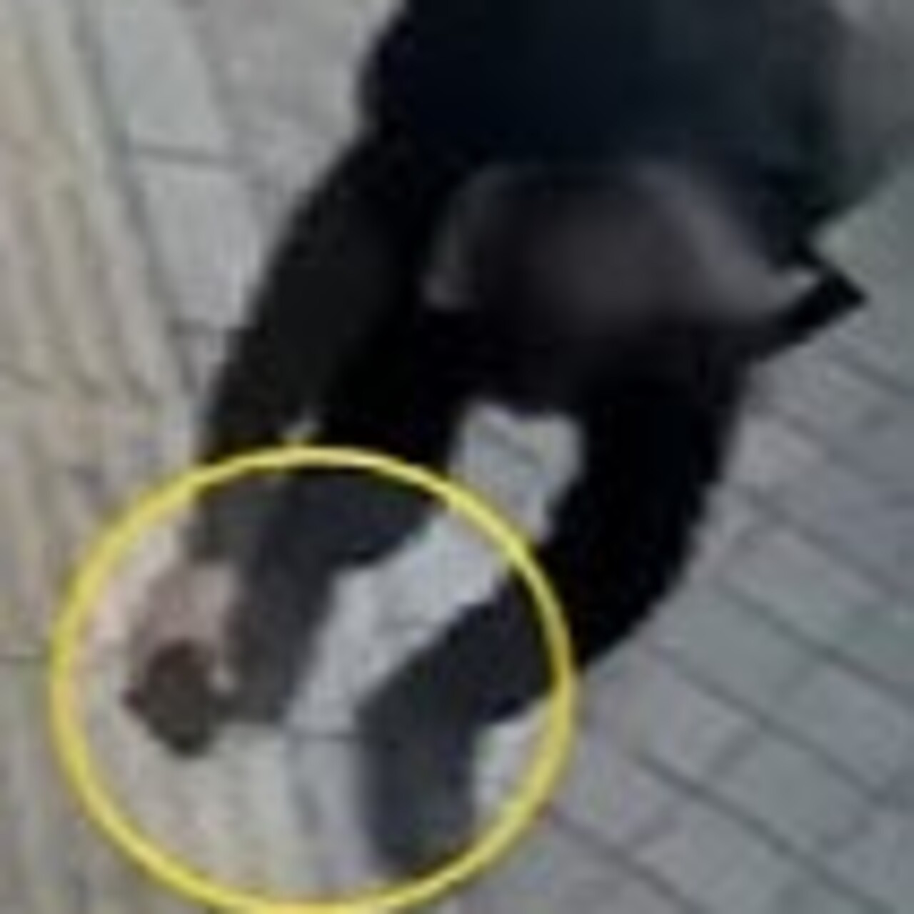 Önce çaldı sonra teslim etti!