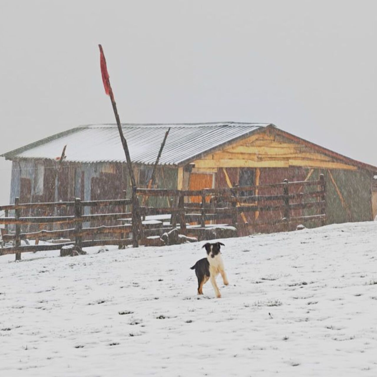Ordu’nun yüksekleri beyaza büründü