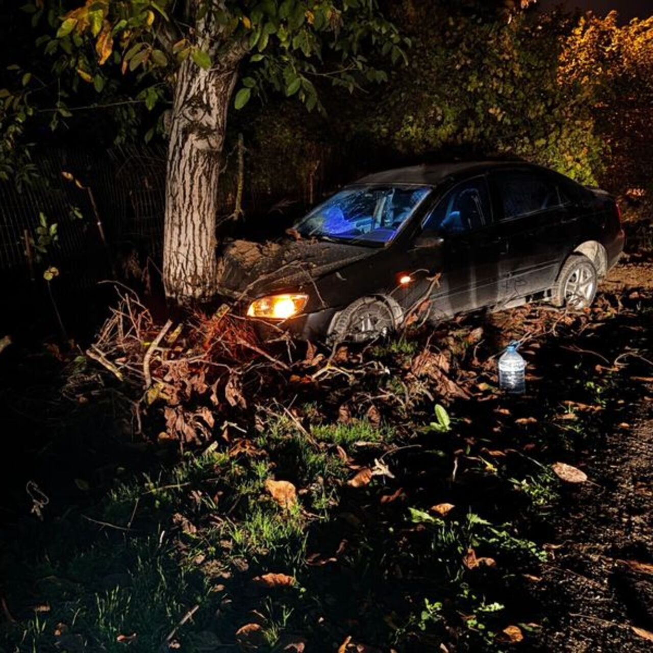 Otomobil ağaca çarptı: 3 yaralı