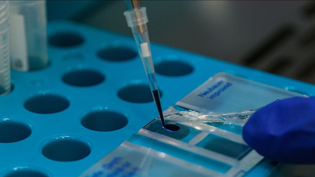 Sağlık Bakanlığı iklim değişikliğine karşı eylem planı hazırlayacak