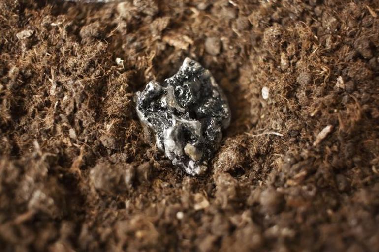 AB nadir toprak elementleri yarışında sahneye çıkıyor!