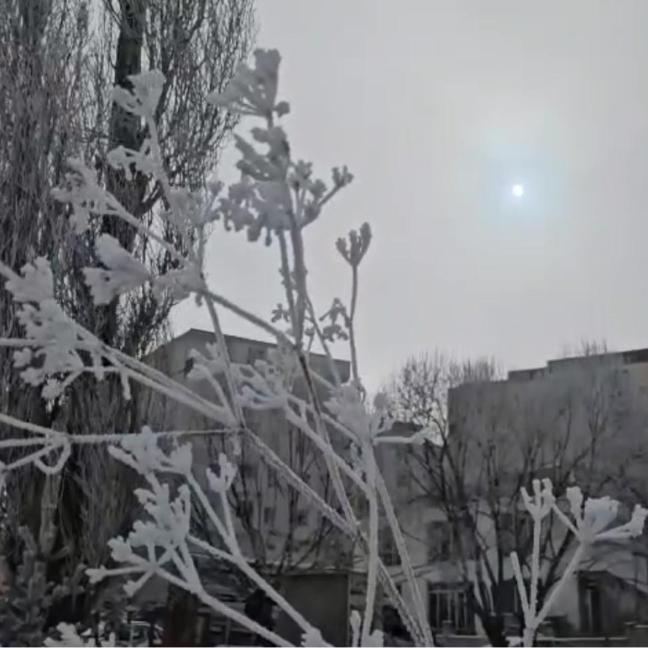 Ardahan’da dondurucu soğuklar!