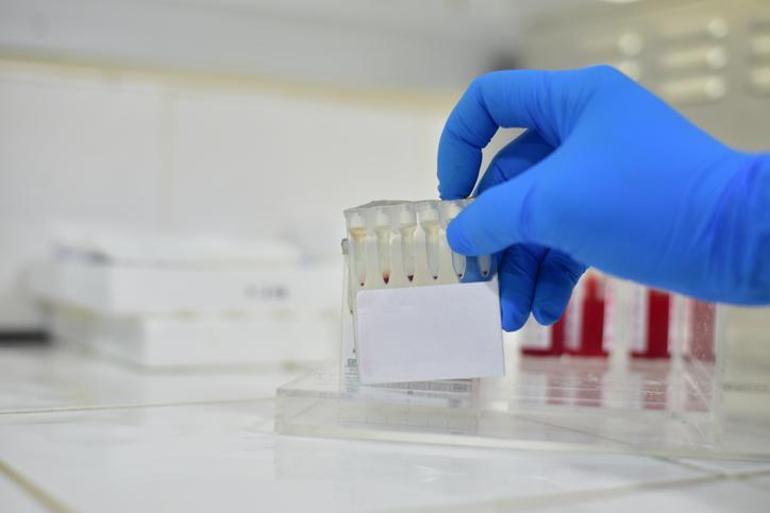 Avrupa’yı sarsan araştırma: Kanser riskli gen taşıyan donörden doğan 200’e yakın çocuk var!