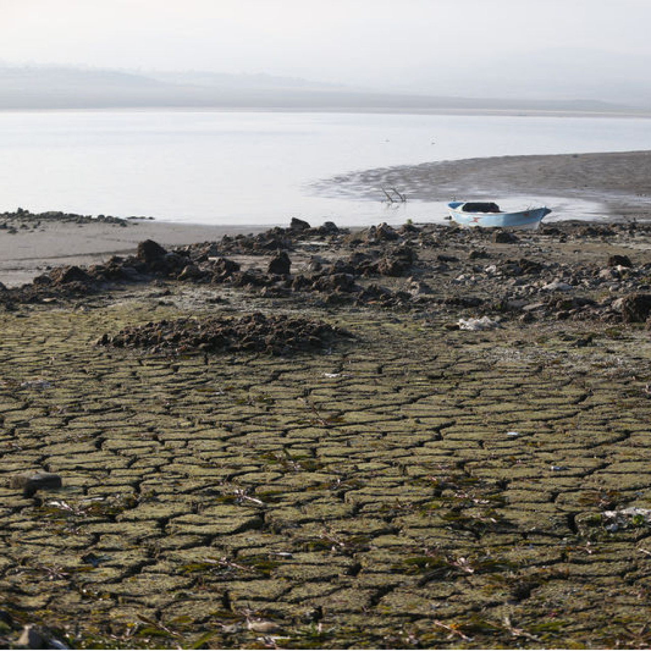 Çare yağmur suyu hasadı