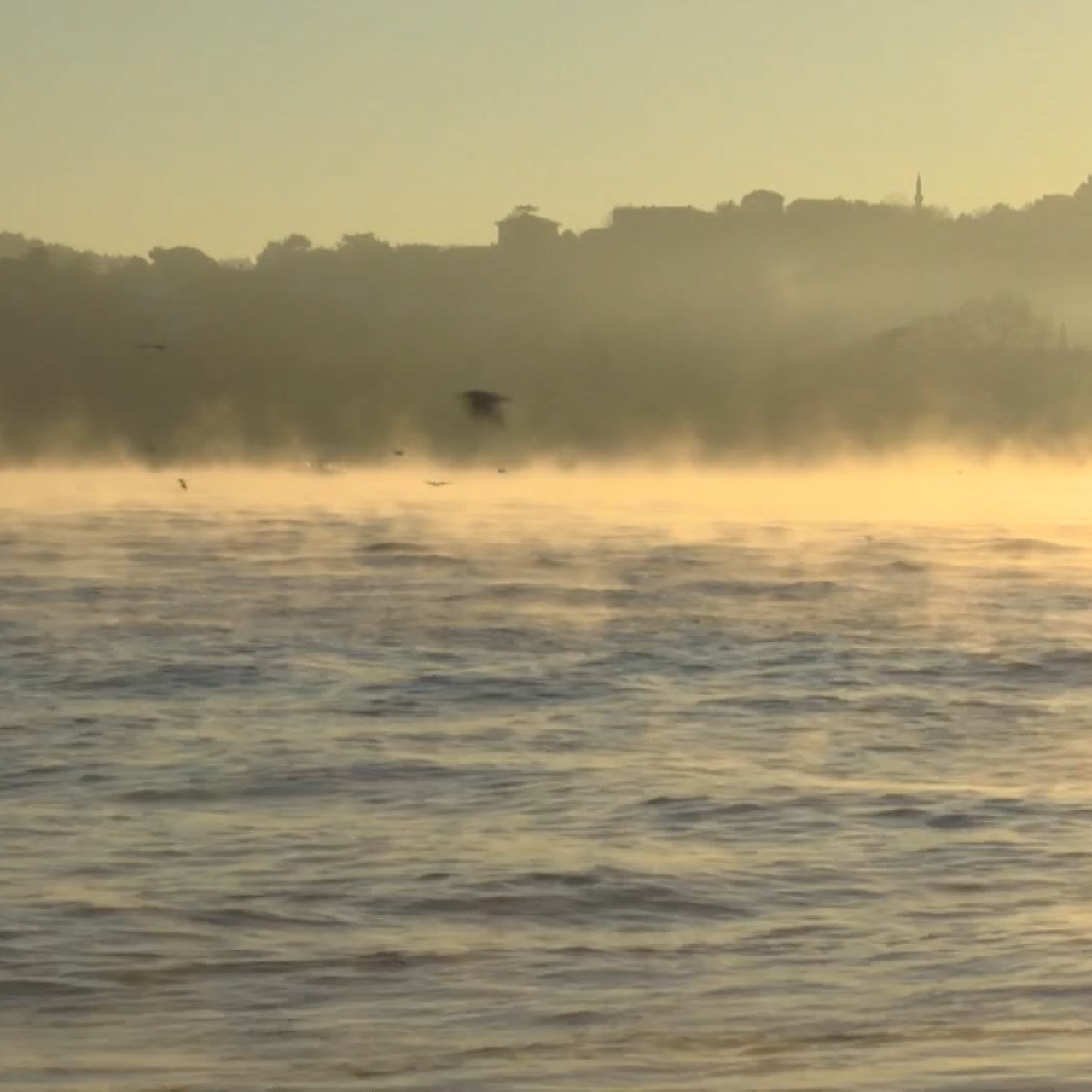 Deniz sıcak, hava soğuk! Boğaz buharlaştı!