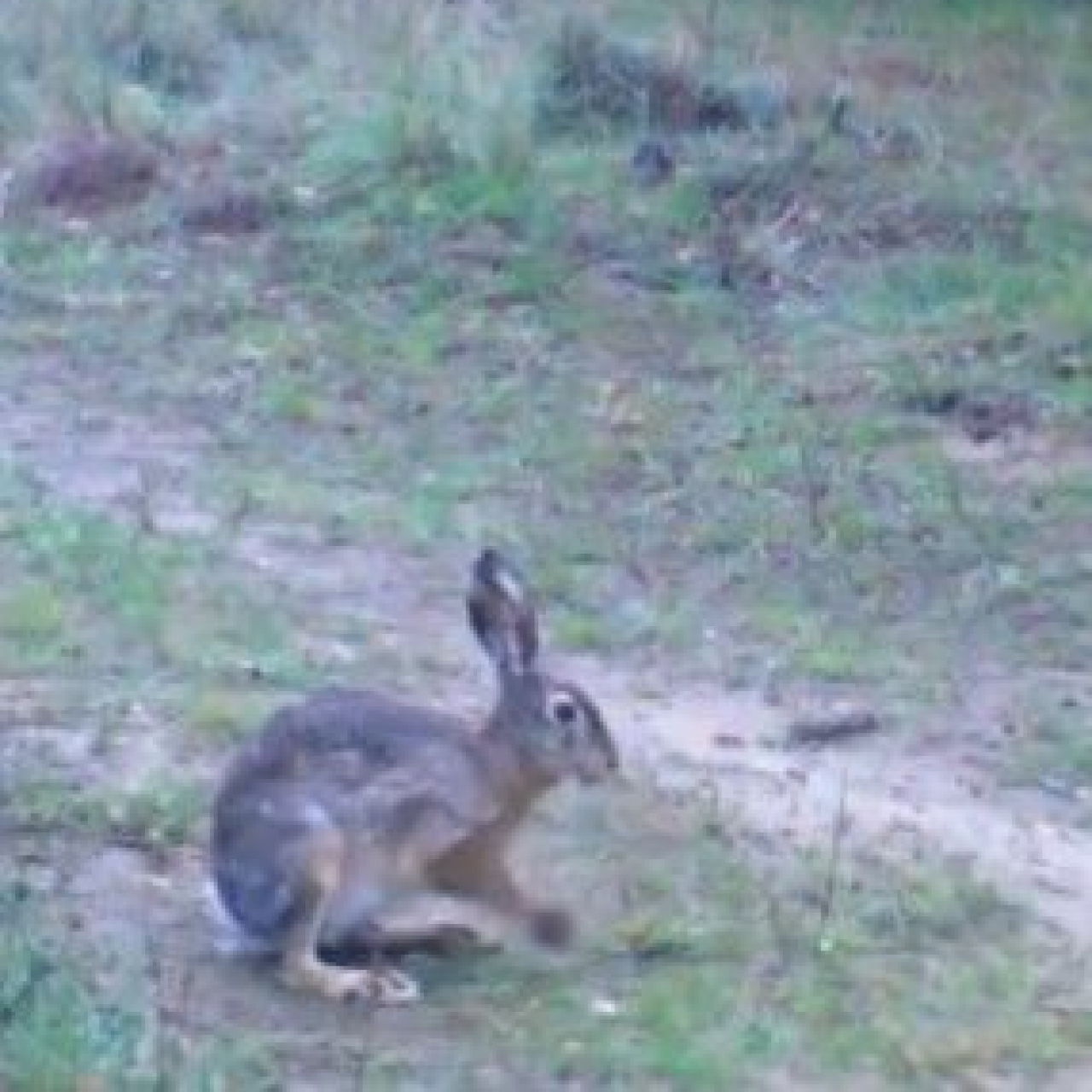 ‘En sempatik benim’ yarışı