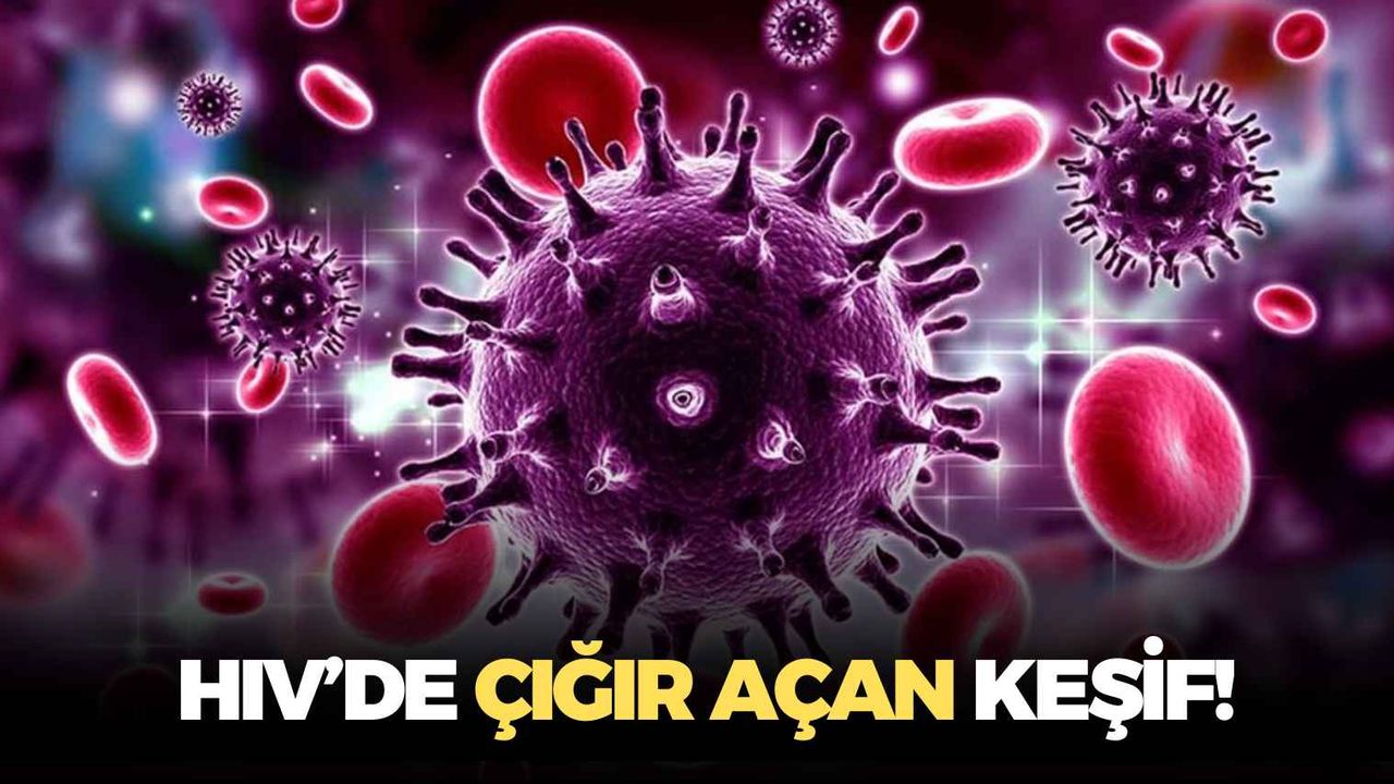 HIV’de çığır açan keşif: Bilim insanları virüsün yüzde 98,5’ini etkisiz hale getiren “Süper Antikor” buldu