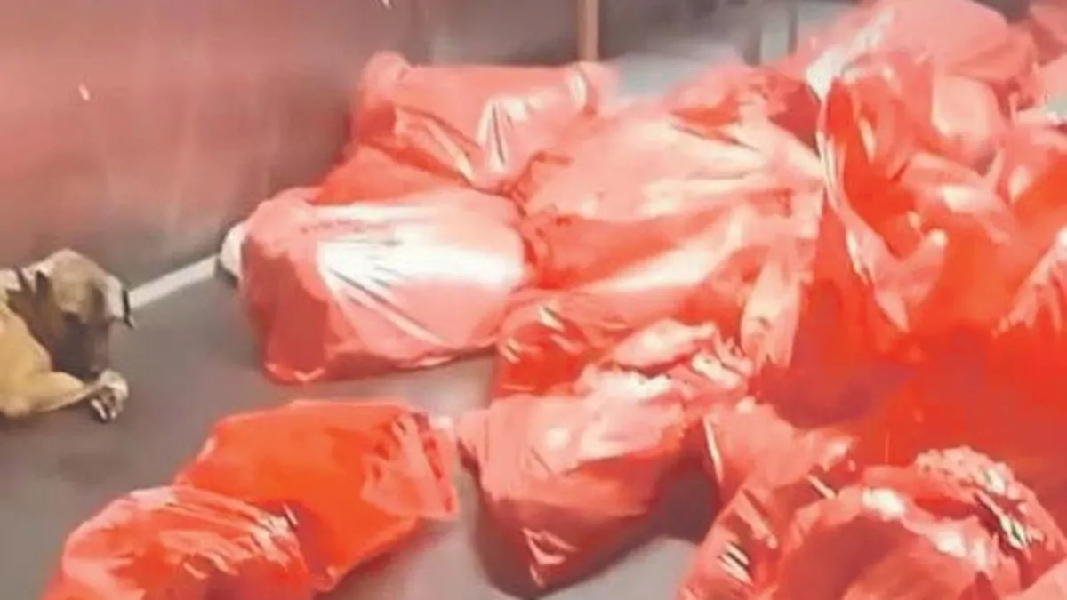 Karataş Hayvan Bakımevi’ndeki köpek katliamına vatandaşlardan sert tepki!