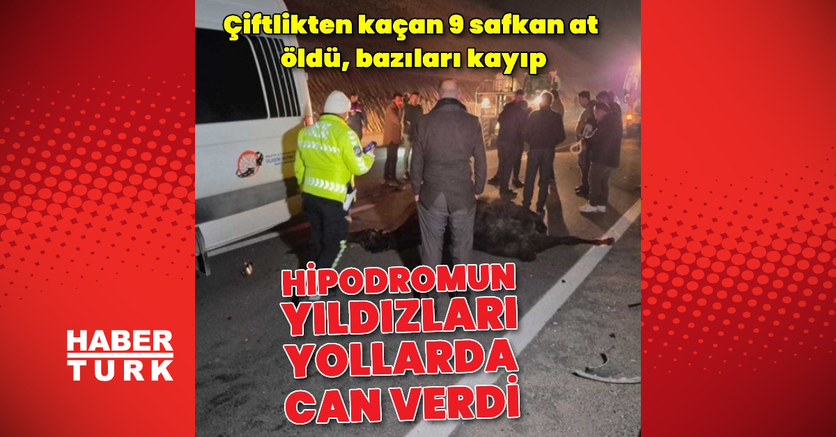 Milyonluk atlar çiftlikten kaçtı