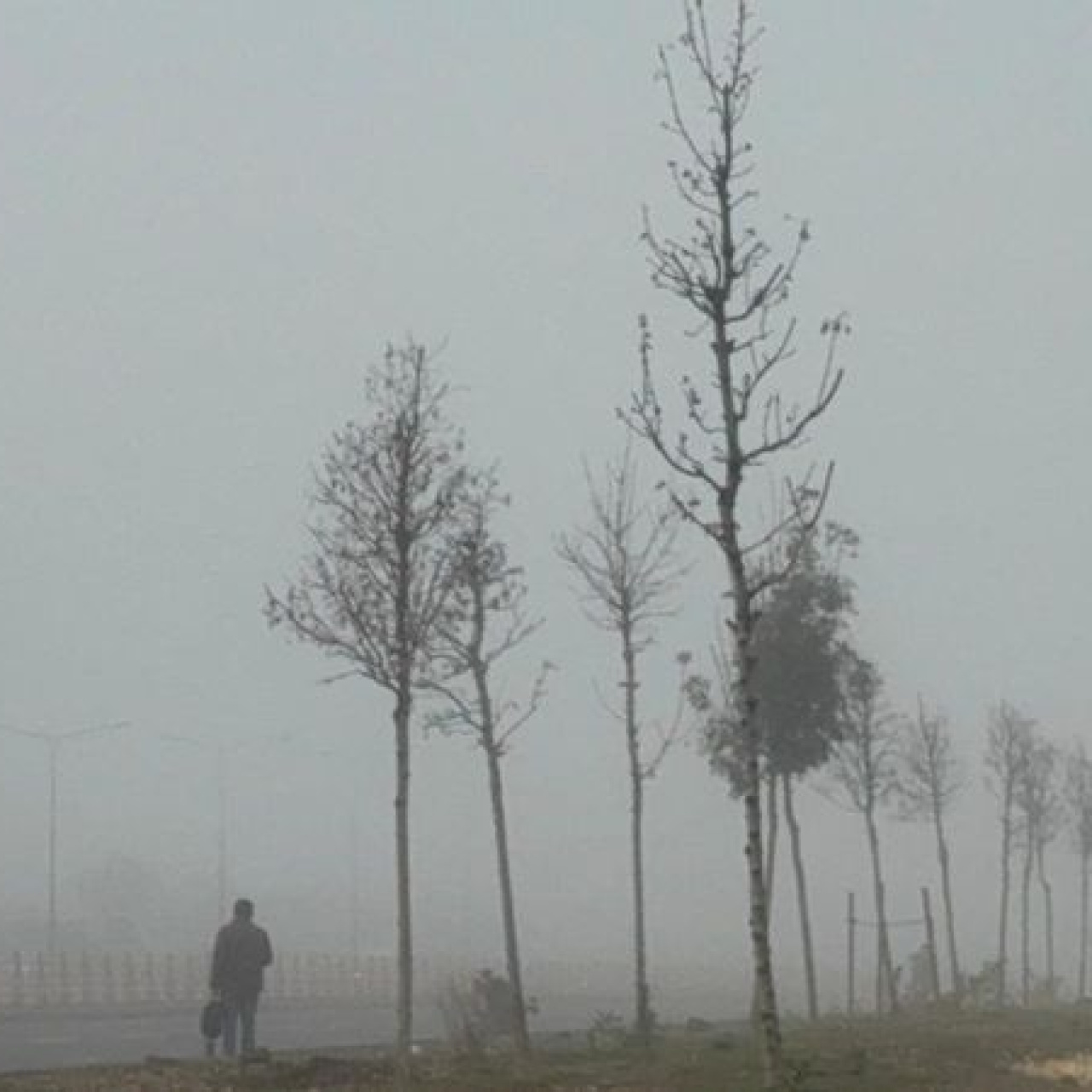 Sis nedeniyle uçak seferleri aksadı