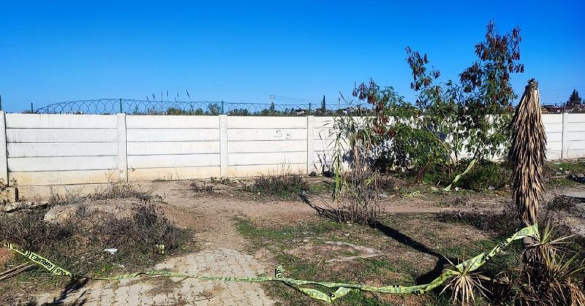 Yaşlı kadın yol kenarında ölü bulundu