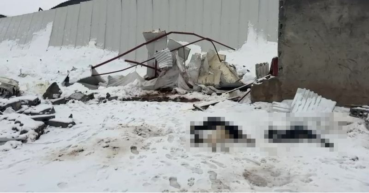 Ahır çatıları çöktü… Hayvanlar öldü