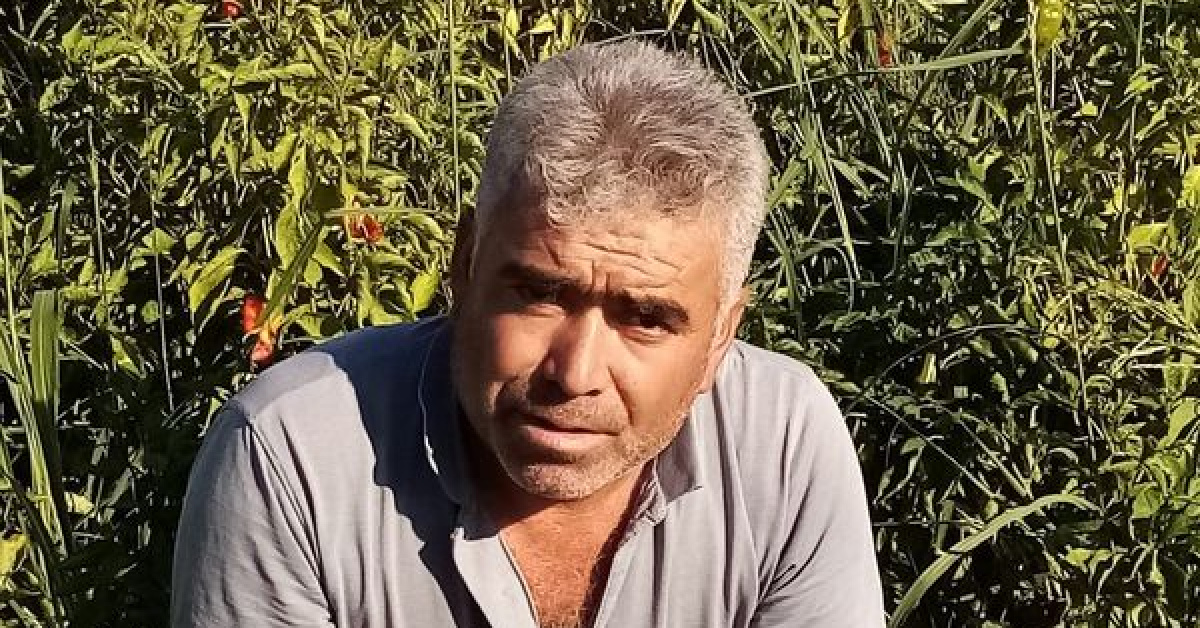 Asansör faciası! 1 kişi can verdi