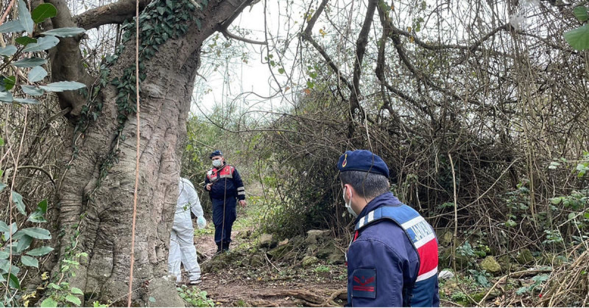 Çalılıklarda cansız bedeni bulundu