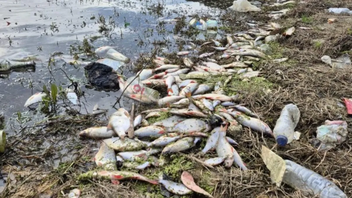 Eyüpsultan’da tedirgin eden r!