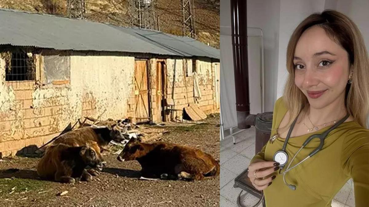 Harvard’dan Şırnak’a uzanan doktorluk hikayesi: Yalnızca steteskobu, bilgisi, vicdanı… ‘Diğer köylere gösterip övünüyoruz’