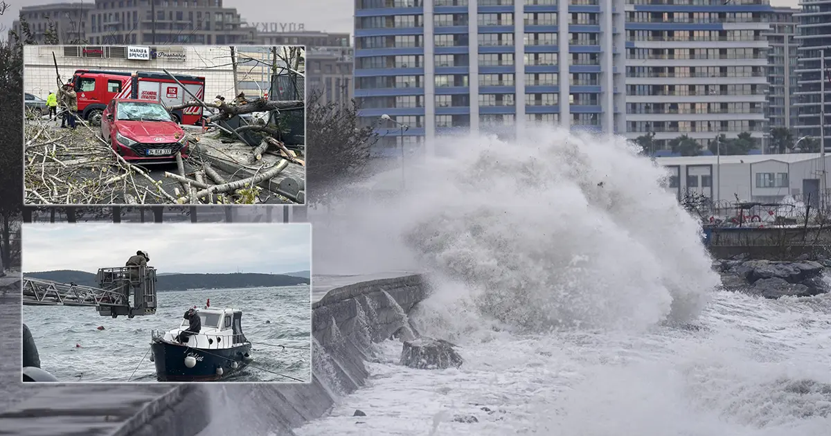 İstanbul’da lodos kabusu. Ağaçlar ve tekneler devrildi, dev dalgalar sahilleri dövdü