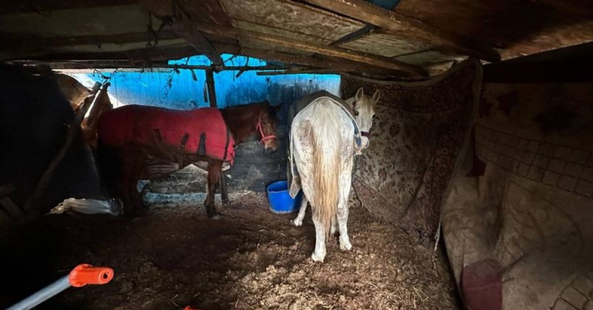 Kemikler jandarmayı harekete geçirdi! 2 gözaltı