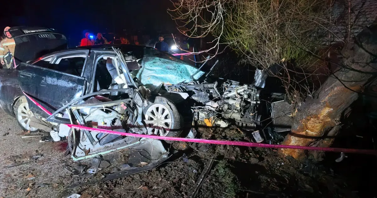 Kontrolden çıkan araç ağaca çarptı: 2 ölü, 2 yaralı