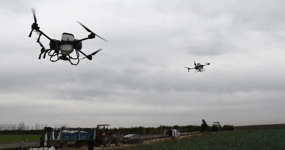 Mersin’de ekimler dronla yapılıyor, iş gücünden ve üründen tasarruf sağlanıyor