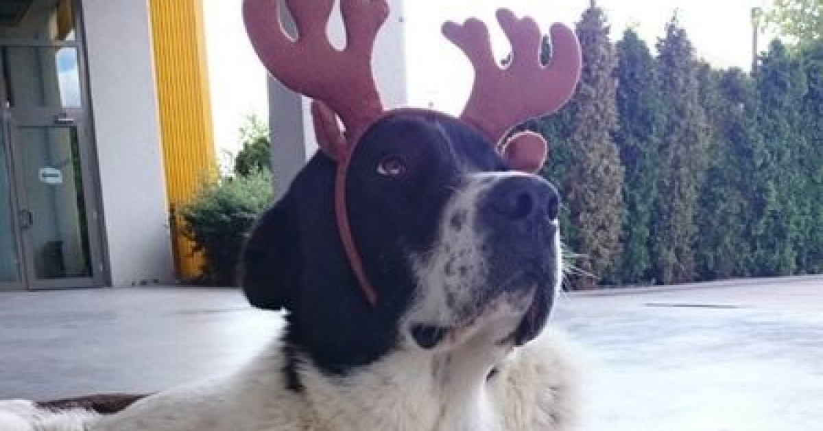 Sığındığı metroda darp edildiği iddiası