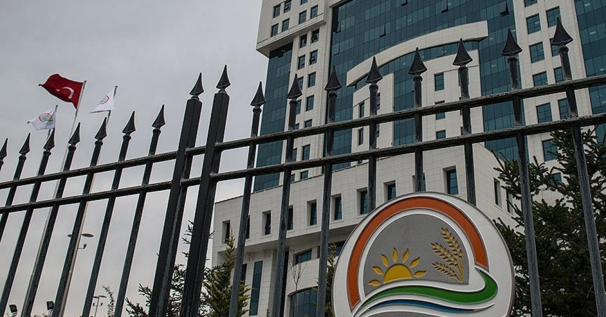 “100 milyon liralık yarış atları kayıp” iddiasına yalanlama