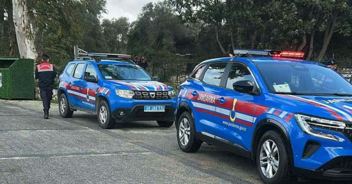 2 sokak köpeğini vuran şüpheli tutuklandı