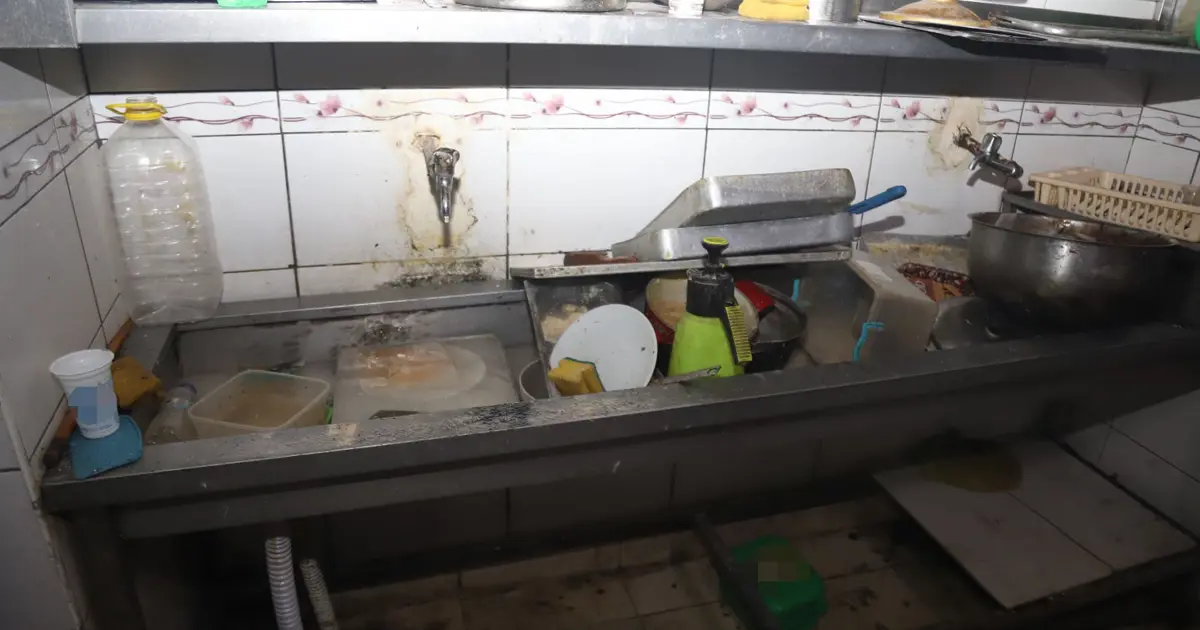 Böcekler çıkan fırına para cezası