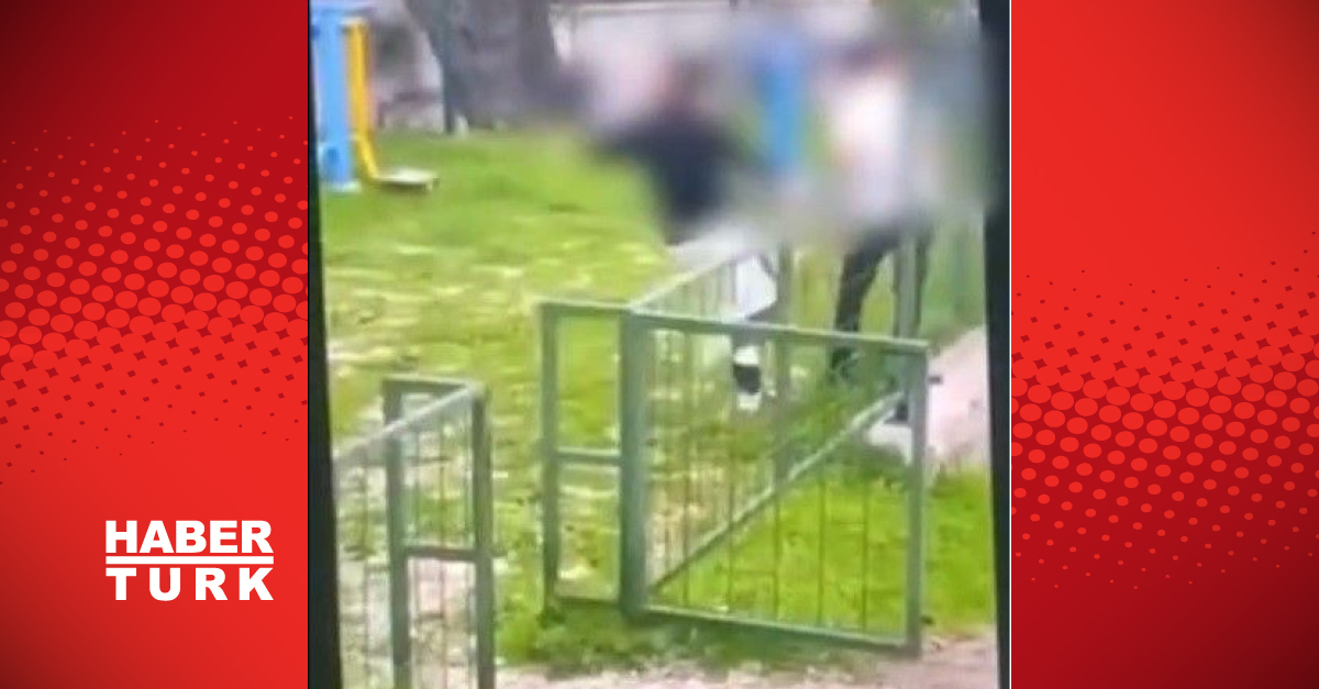Bodrum’da kan donduran akran zorbalığı!