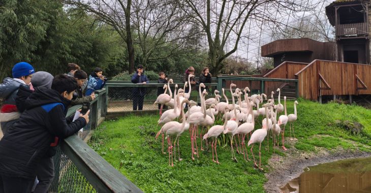 Doğa dedektifleri iz peşinde