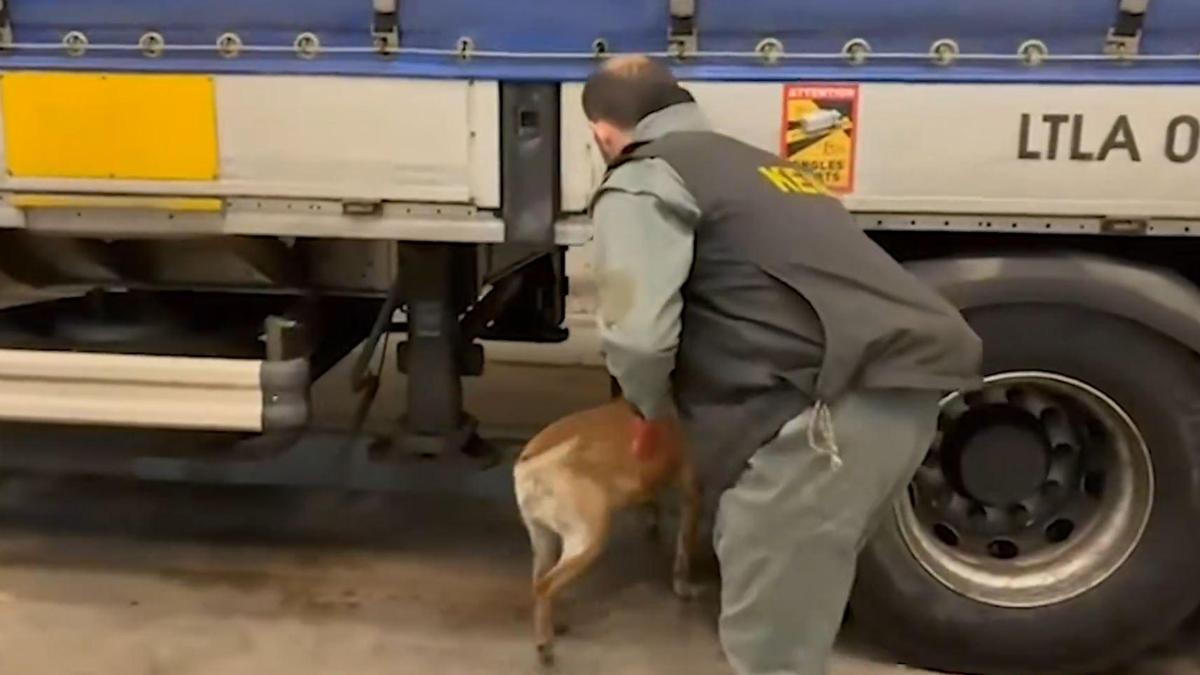 Edirne’de 240 kilogram uyuşturucu ele geçirildi