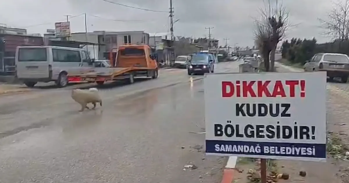 Hatay’da 4 mahalle kuduz nedeniyle karantinaya alındı