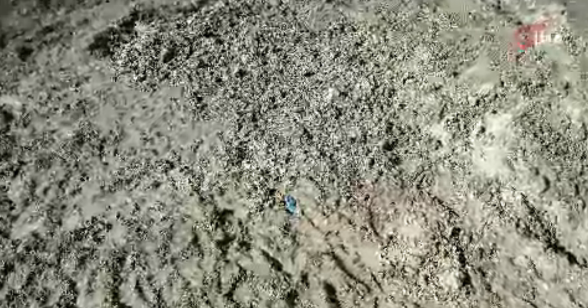 İstanbul’da korkunç cinayet. Kayıp Çinli iş insanı toprağa gömülü bulundu