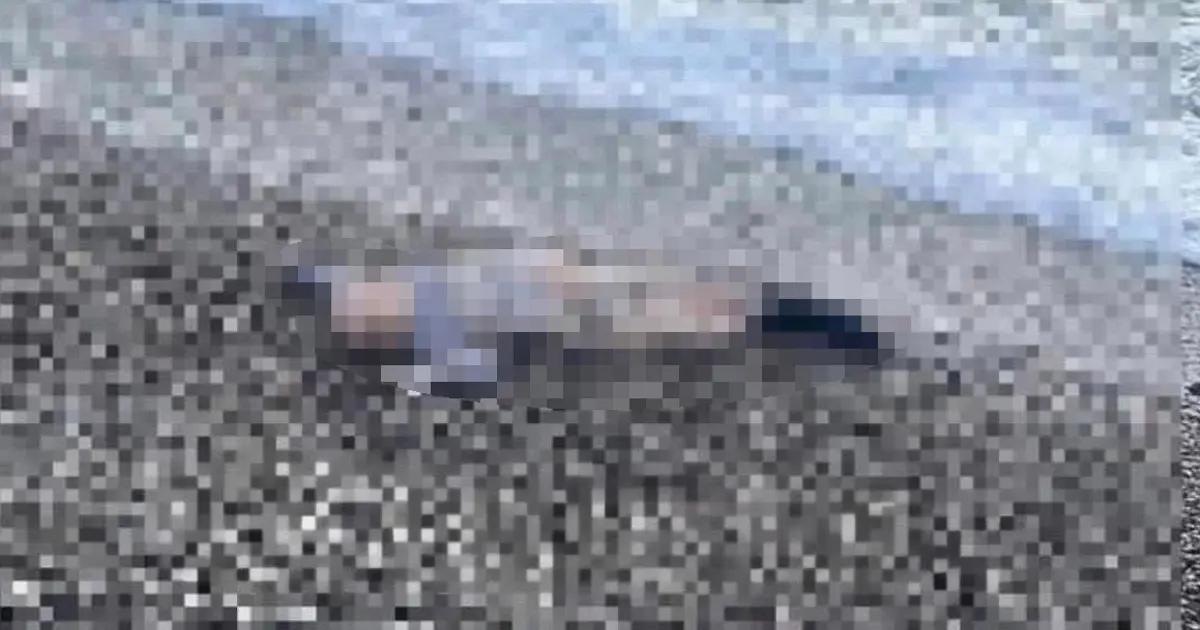 İzmir’de sahile vurmuş bir çocuk cesedi bulundu