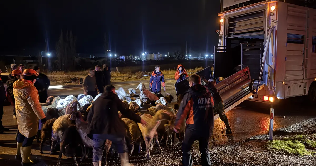 Kayseri’de taşkın önlemi. 200 hayvan tahliye edildi