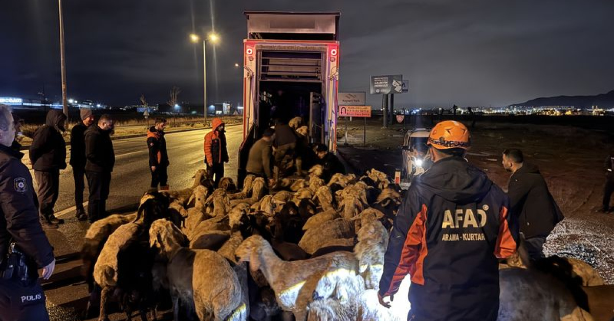 Kayseri’de taşkın riski: 200 hayvan tahliye edildi