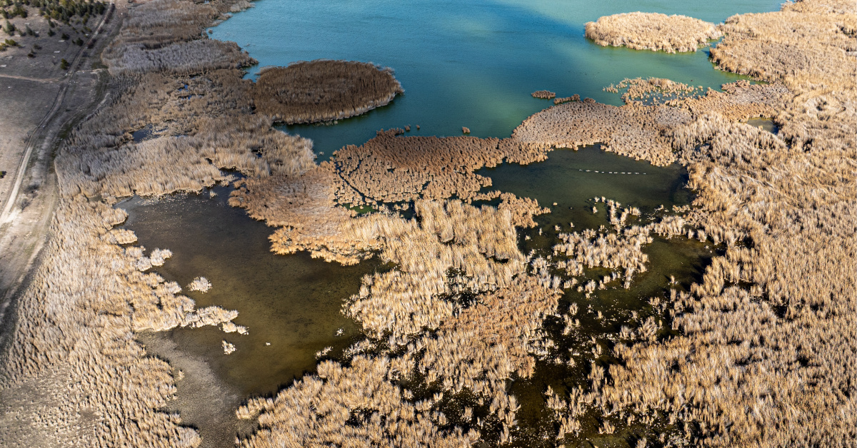 Kuraklık kronikleşiyor