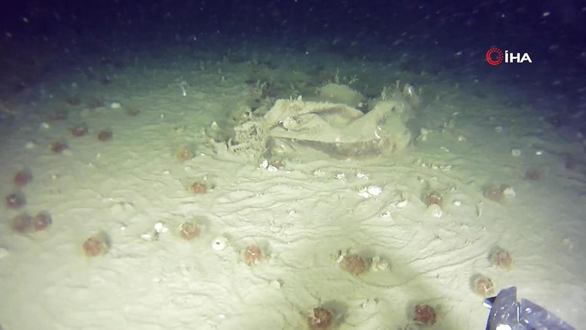 MARMARA DENİZİ’NDEKİ 51 YILLIK SIR | Düşen THY uçağına ait yeni r çıktı