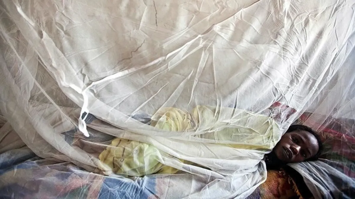 Nijerya’da Lassa ateşi can almaya devam ediyor! Ölü sayısı 70’e yükseldi